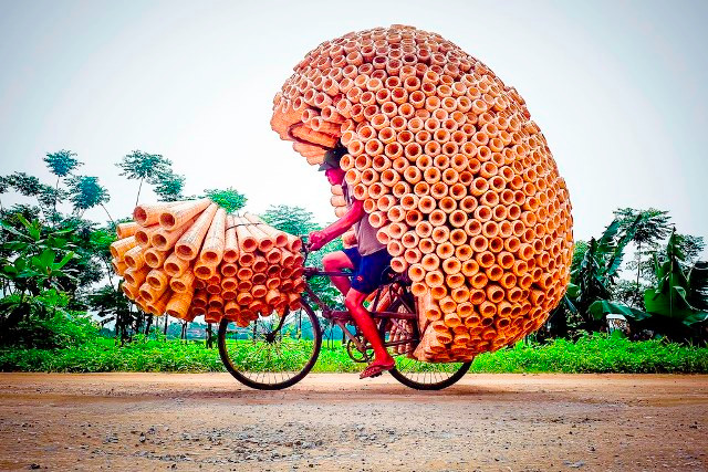 Vẻ đẹp người lao động ảnh 6