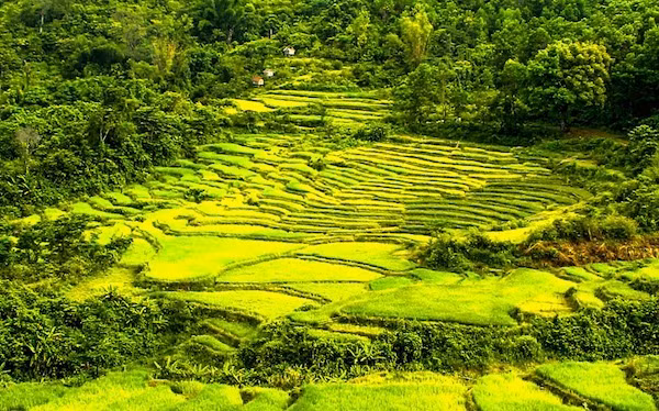 Khám phá đèo Violak ảnh 2