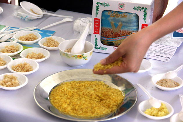 Những giọt mồ hôi làm nên “hạt ngọc” vàng ảnh 3