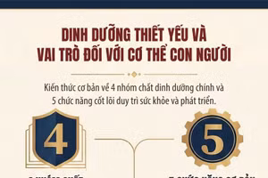 [Infographic] Cơ thể con người cần các chất dinh dưỡng nào và vai trò của các nhóm chất dinh dưỡng đó