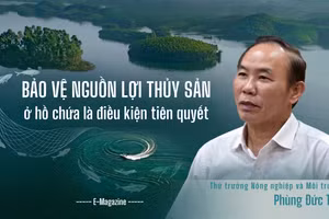 Bảo vệ nguồn lợi thủy sản ở hồ chứa là điều kiện tiên quyết 