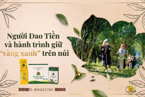 Người Dao Tiền và hành trình giữ “vàng xanh” trên núi