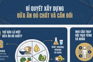 [Infographic] Thế nào là một bữa ăn đủ chất dinh dưỡng và cân đối