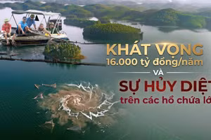 Khát vọng 16.000 tỷ đồng/năm và sự hủy diệt trên các hồ chứa lớn 