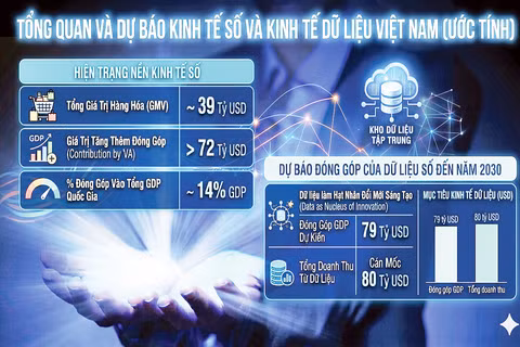 Dự báo về kinh tế dữ liệu tại Việt Nam.