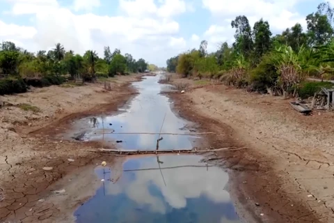 Tình hình xâm nhập mặn tại Đồng bằng sông Cửu Long được đánh giá không cực đoan như các năm trước đây.