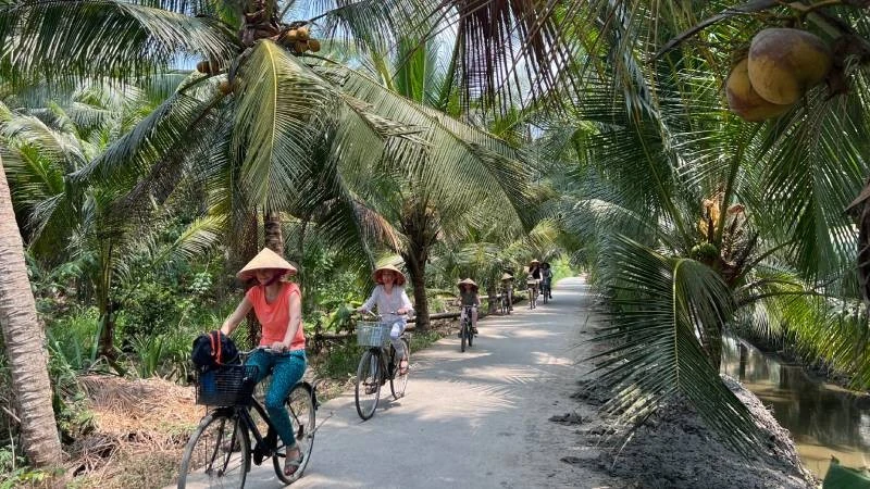 Du lịch Vĩnh Long phục hồi mạnh mẽ, đạt 9,3 triệu lượt khách và gần 8.000 tỷ đồng doanh thu