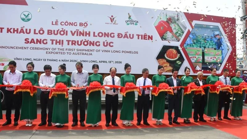 Lô bưởi da xanh Vĩnh Long đầu tiên xuất khẩu thành công sang thị trường Australia