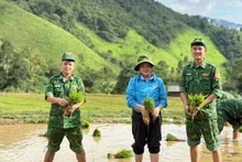 Đoàn Thanh niên Đồn Biên phòng Na Ngoi cùng Đoàn xã Na Ngoi và Chi đoàn Đoàn Kinh tế-Quốc phòng 4 giúp người dân bản Tổng Khư, xã Na Ngoi, huyện Kỳ Sơn cấy lúa vụ hè thu.