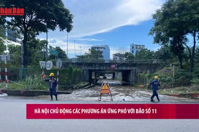 [Video] Hà Nội chủ động các phương án ứng phó với bão số 11 