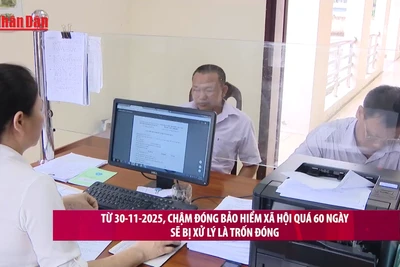 [Video] Từ 30/11, chậm đóng bảo hiểm xã hội quá 60 ngày sẽ bị xử lý là trốn đóng 