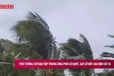 [Video] Thủ tướng chỉ đạo tập trung ứng phó lũ quét, sạt lở đất sau bão số 10