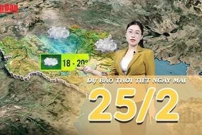 [Video] Dự báo thời tiết đêm nay và ngày mai 25/2/2026: Bắc Bộ mưa dông diện rộng, cảnh báo lốc sét và mưa đá
