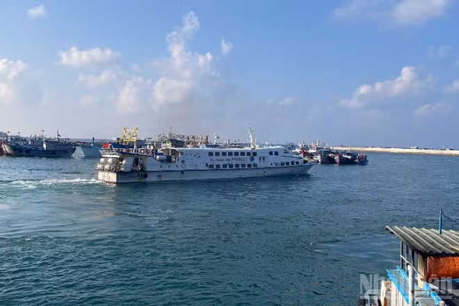 Các tàu cao tốc tạm ngưng hoạt động.