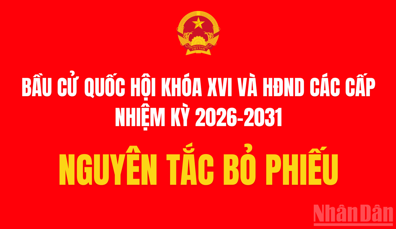 [Infographic] Nguyên tắc bỏ phiếu bầu đại biểu Quốc hội và Hội đồng nhân dân các cấp