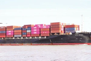 Xuất khẩu hàng hóa tại cảng Tân Cảng Cát Lái. (Ảnh THẾ ANH)