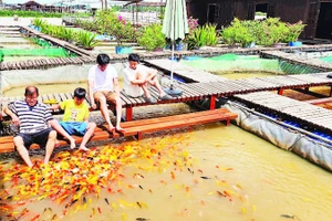 Du khách trải nghiệm tại cồn Sơn.