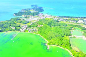 Khu Bảo tồn biển Cô Tô-Đảo Trần có tổng diện tích 18.414,92 ha. (Ảnh NGÔ TRẦN HẢI AN)