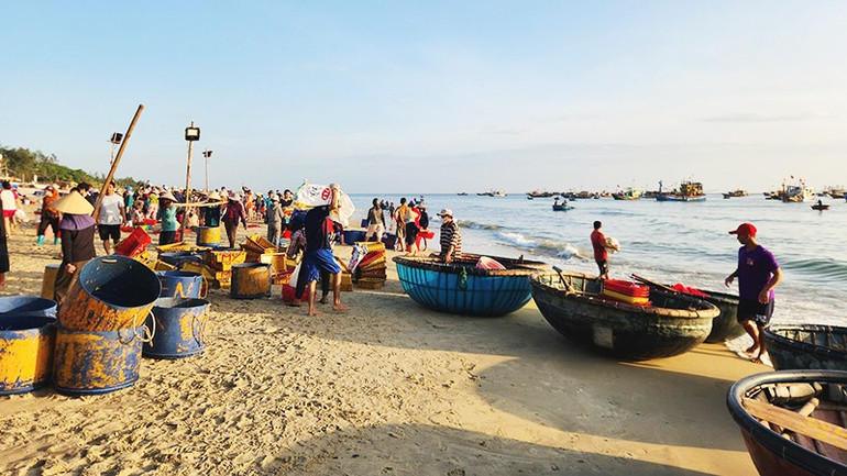 Cá tươi được các tàu thuyền đánh bắt, vận chuyển lên bờ để thương lái lựa chọn. 101a.jpg