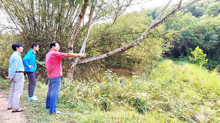 Tác giả bài viết và đoàn giáo viên đến tìm hiểu địa điểm di tích Căn cứ Đầm Đen. 141a.jpg