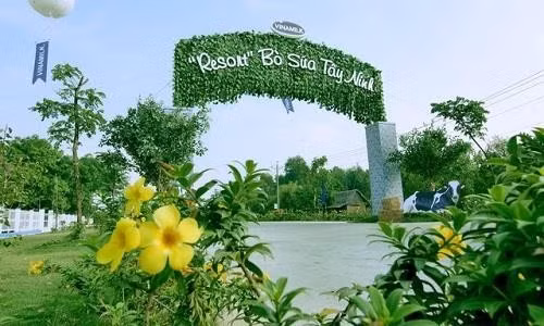 CÔNG TY CP SỮA VIỆT NAM