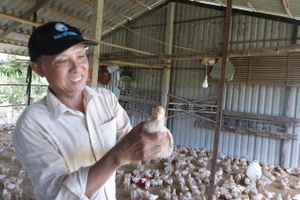 Mô hình sinh kế hiệu quả giúp nhiều hộ tăng thu nhập, nâng cao đời sống