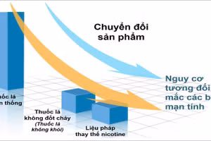 Minh họa mức độ gây hại của các sản phẩm thuốc lá và nicotine từ Cục quản lý Thực phẩm và Dược phẩm Hoa Kỳ (FDA). (Nguồn ảnh: FDA)