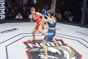 Giải LION Championship thu hút đông đảo khán giả quan tâm. Ảnh | VMMAF