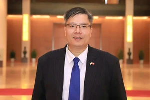 TS Trần Hải Linh.