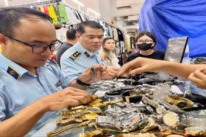 Lực lượng Quản lý thị trường triển khai kiểm tra hàng hóa trong đợt cao điểm đấu tranh ngăn chặn, đẩy lùi tình trạng buôn lậu, gian lận thương mại, hàng giả, xâm phạm quyền sở hữu trí tuệ. (Ảnh: Nhân Dân)