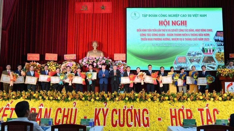 Trao tặng Bằng khen Thủ tướng Chính phủ cho các cá nhân. h4-thi-dua-vrg.jpg