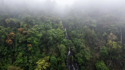 Hành trình giữ xanh đại ngàn Pù Mát