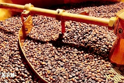 Ảnh minh họa. (Nguồn: TTXVN)