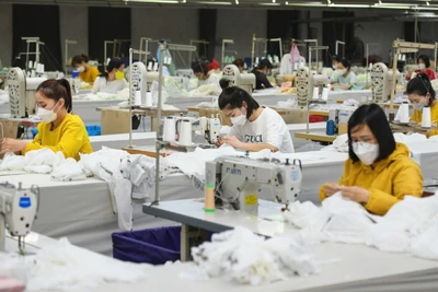 Kinh tế tư nhân có vai trò quan trọng để thúc đẩy tăng trưởng kinh tế. (Ảnh: THÀNH ĐẠT)