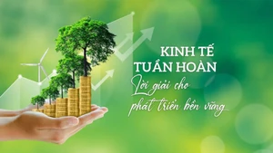 Kinh tế tuần hoàn - Lời giải cho phát triển bền vững