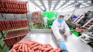 Người lao động tại Công ty LC Foods. (Ảnh nhandan.vn)