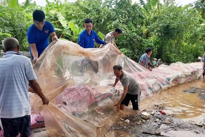 Đoàn viên, thanh niên tình nguyện hỗ trợ bà con đắp bờ chắn dòng chảy tại xã Nam Phù (Hà Nội).