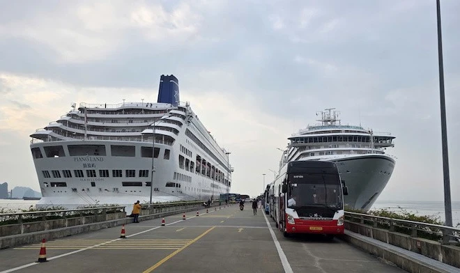 Hai tàu Seaborn Encore và Piano Land "Xông đất" Hạ Long trong ngày đầu tiên của năm mới Bính Ngọ 2026.