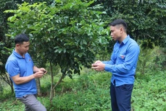 Đoàn viên thanh niên xã Nà Tấu về cơ sở tuyên truyền đến nhân dân lợi ích bảo vệ rừng để hưởng lợi từ dịch vụ môi trường rừng.