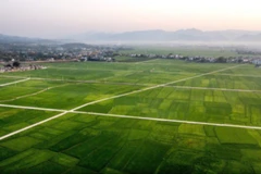 Cánh đồng Mường Thanh được tưới nước từ công trình đại thuỷ nông Nậm Rốm.