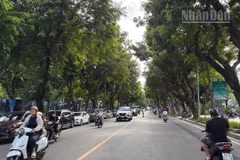 [Ảnh] Toàn cảnh khu vực chuẩn bị xây quảng trường trước Công viên Thống Nhất