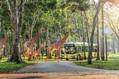 Safari bán hoang dã đầu tiên của Việt Nam trên Đảo Ngọc.