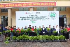SeABank hỗ trợ trồng gần 671 nghìn cây xanh tại Hà Tĩnh, vượt mục tiêu 1 triệu cây xanh trên cả nước