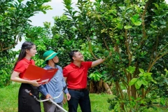 Phát triển kinh tế tư nhân là chủ trương lớn mang tính đột phá của Đảng và Nhà nước trong định hướng dài hạn về phát triển kinh tế đất nước.