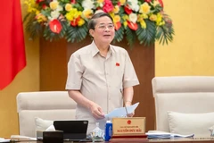 Phó Chủ tịch Quốc hội Nguyễn Đức Hải điều hành phiên họp thông qua Nghị quyết về điều chỉnh mức giảm trừ gia cảnh của thuế thu nhập cá nhân. (Ảnh: PHẠM THẮNG)