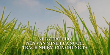 Net Zero cho nền văn minh lúa nước, trách nhiệm của chúng ta