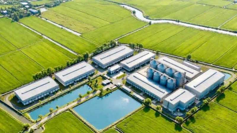 Nhà Máy Chế Biến Gạo 1.000 Tỷ Đồng Khởi Công Tại Hưng Yên, Ứng Dụng Công Nghệ Nhật - Âu