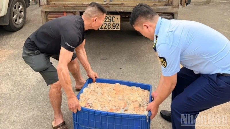 Hưng Yên phát hiện xe ô tô vận chuyển 570kg lòng lợn thối, tiêu hủy toàn bộ