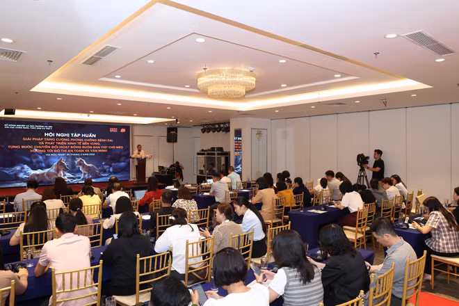 Toàn cảnh Hội nghị tập huấn.