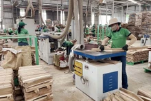 Hoạt động sản xuất tại Nhà máy sản xuất và chế biến gỗ Tiến Phong (Cam Lộ, Quảng Trị). (Ảnh TTXVN)
